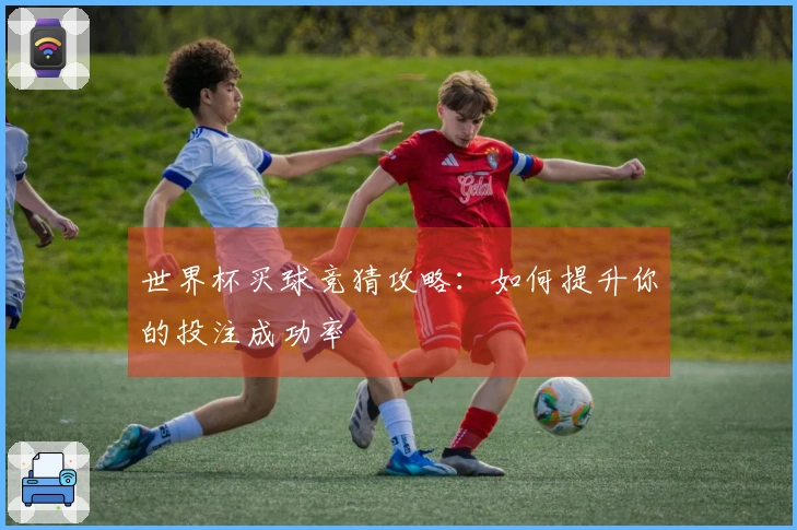 世界杯买球竞猜攻略：如何提升你的投注成功率