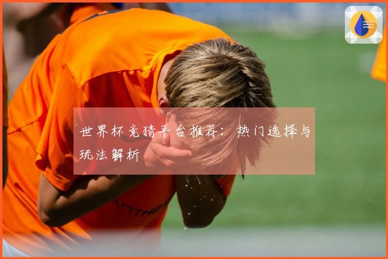 世界杯竞猜平台推荐：热门选择与玩法解析