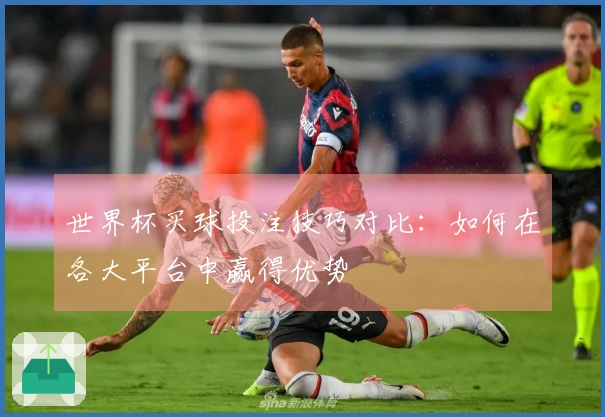 世界杯买球投注技巧对比：如何在各大平台中赢得优势