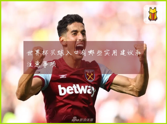 世界杯买球入口有哪些实用建议和注意事项