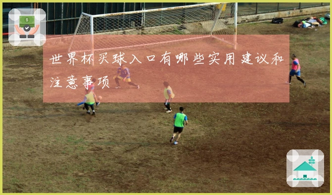 世界杯买球入口有哪些实用建议和注意事项
