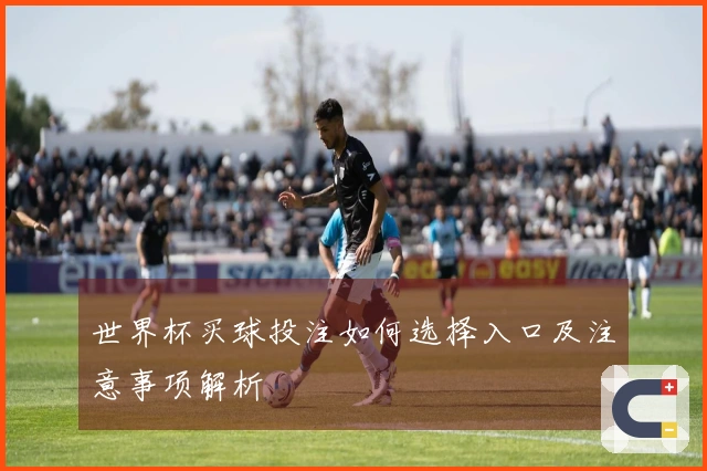 世界杯买球投注如何选择入口及注意事项解析