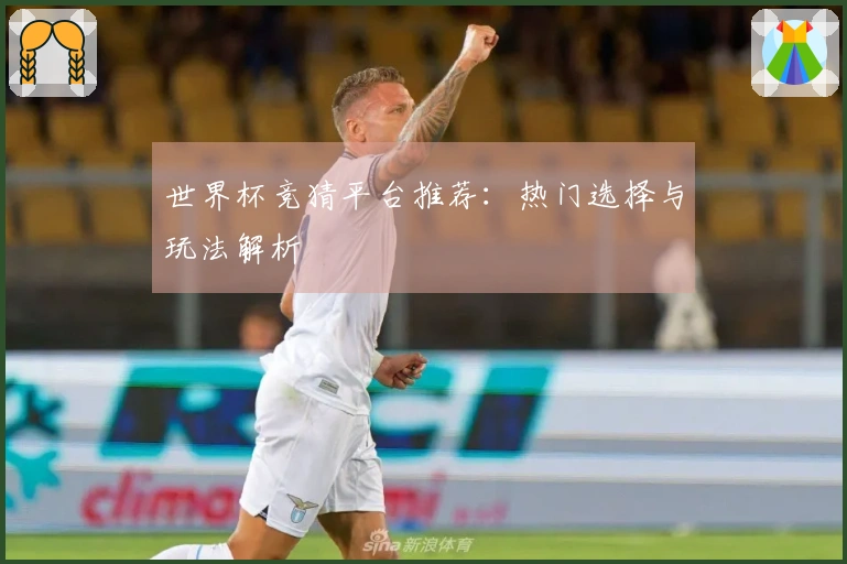 世界杯竞猜平台推荐：热门选择与玩法解析
