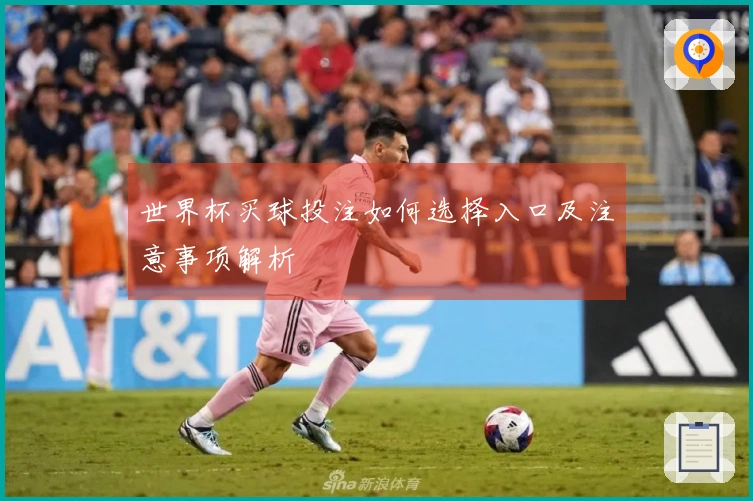 世界杯买球投注如何选择入口及注意事项解析