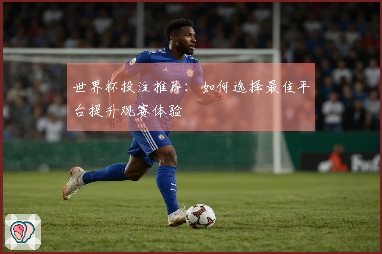 世界杯投注推荐：如何选择最佳平台提升观赛体验