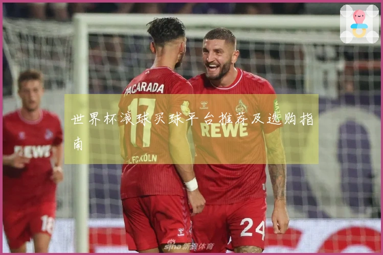 世界杯滚球买球平台推荐及选购指南